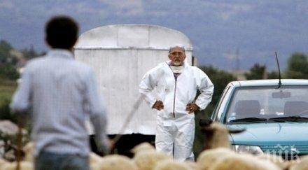 ужас царево избиват животните хората без предупреждение