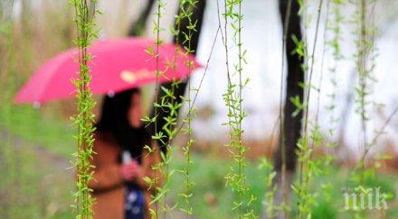 нимх голямо количество валежи последните часа паднали връх мусала