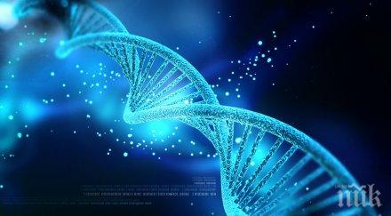 учени създават неандерталски киборг рачешко тяло