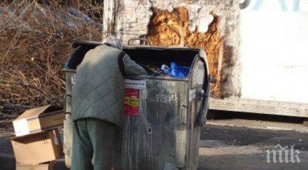 златен бизнес клошарите превъртат млн отпадъци