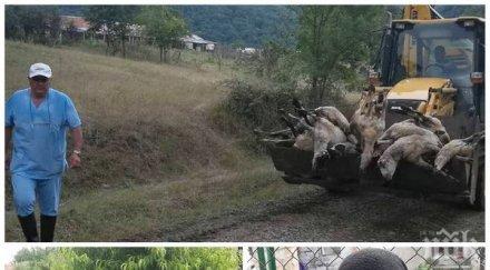 драма село кости втори път избиват животните фермера атанас човекът съсипан