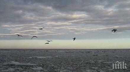 учени алармират възможна климатична катастрофа русия