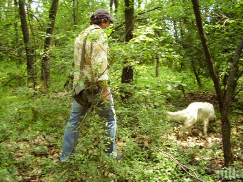 БГ манатарката червива, внасяме румънска