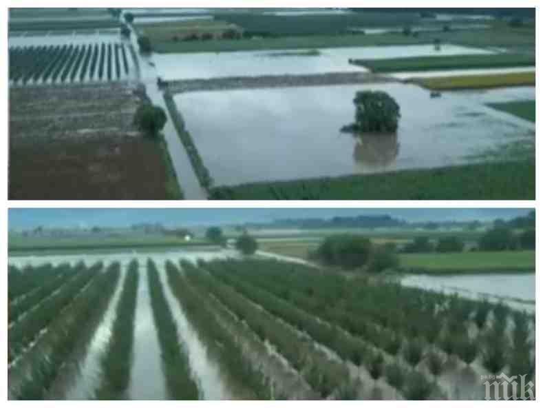 Фермери в потрес заради потопа! Посеви за стотици хиляди са под вода