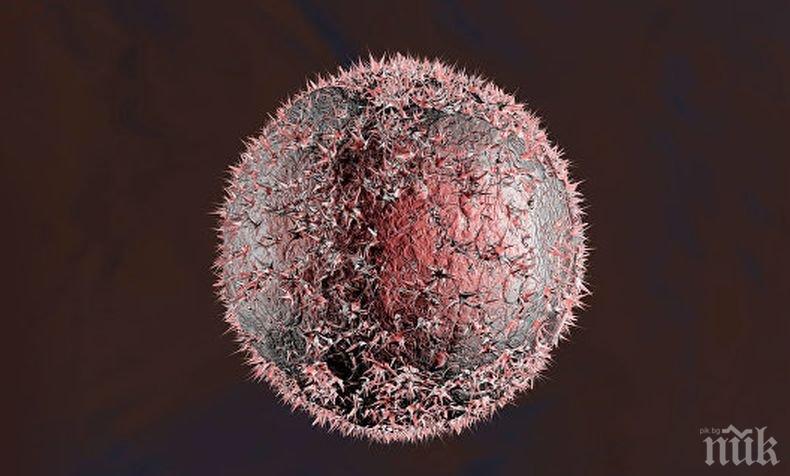 Учени откриха метод на лечение, който забавя развитието на рак на мозъка