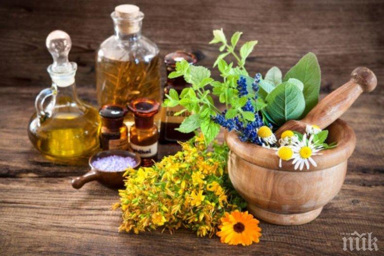 ПОМОЩ ОТ ПРИРОДАТА! Етерични масла за стегнати колене