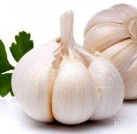 Чесънът е невероятно ефикасно лекарство! Вижте какво лекува!