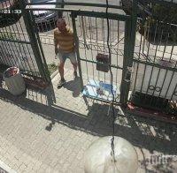 Нечовешка наглост: Крадец отмъкна кутия за дарения за бургаското слънце Цвети! (СНИМКИ) 