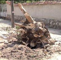 Буря с пороен дъжд и силни ветрове връхлетя Москва