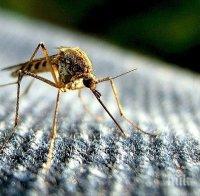 7 начина да облекчите ухапванията от комари
