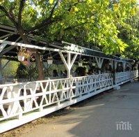 Глад за бармани и сервитьори в Пиринско, ученици попълват дефицита