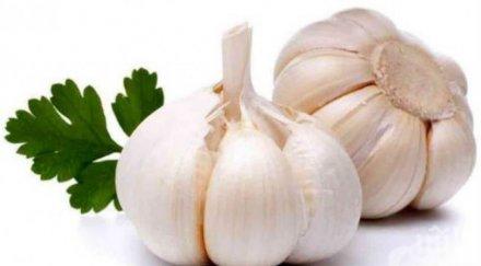 чесънът невероятно ефикасно лекарство вижте лекува