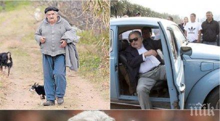 нестандартно вижте бедният президент света снимки