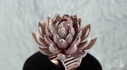 рекорд поставиха 6690 диаманта един пръстен видео