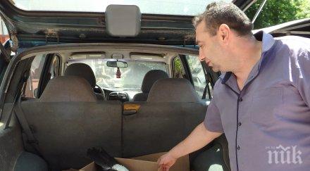 спасиха щъркелче караманово