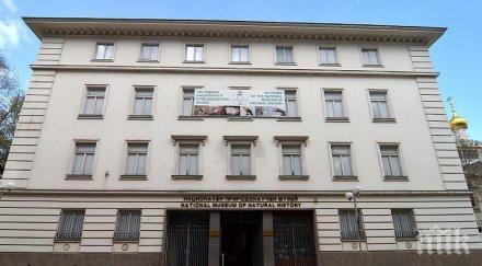 освобождават придружителите хората увреждания вход музея