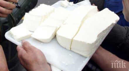 сетне имитиращите продукти аут витрината млечните храни