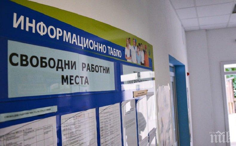 Безработицата в България удари 9-годишно дъно, в ЕС скочи с 2%