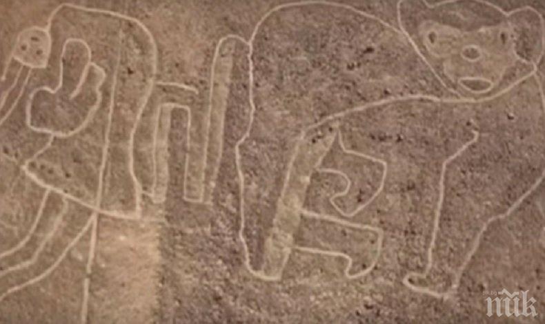 Археолози откриха още много рисунки в Наска (ВИДЕО)