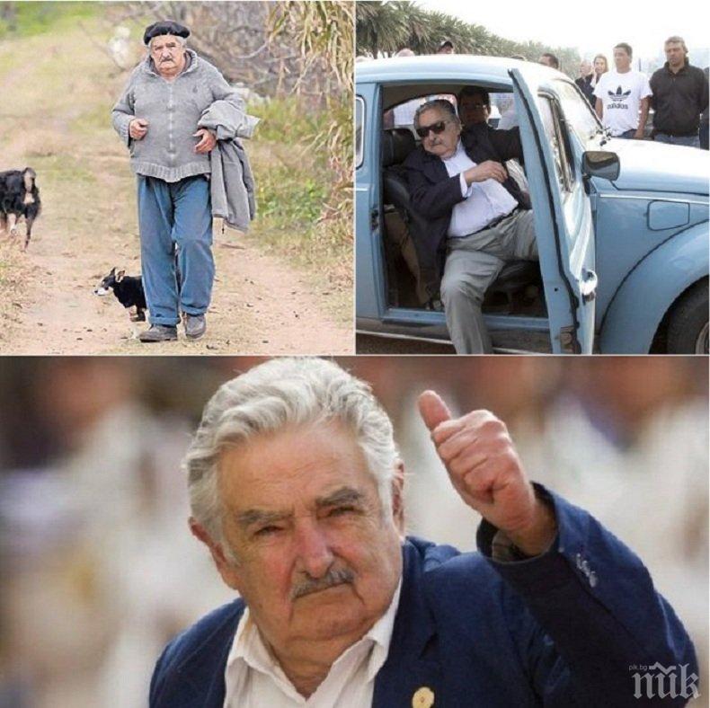 НЕСТАНДАРТНО! Вижте как живее най-бедният президент на света (СНИМКИ)