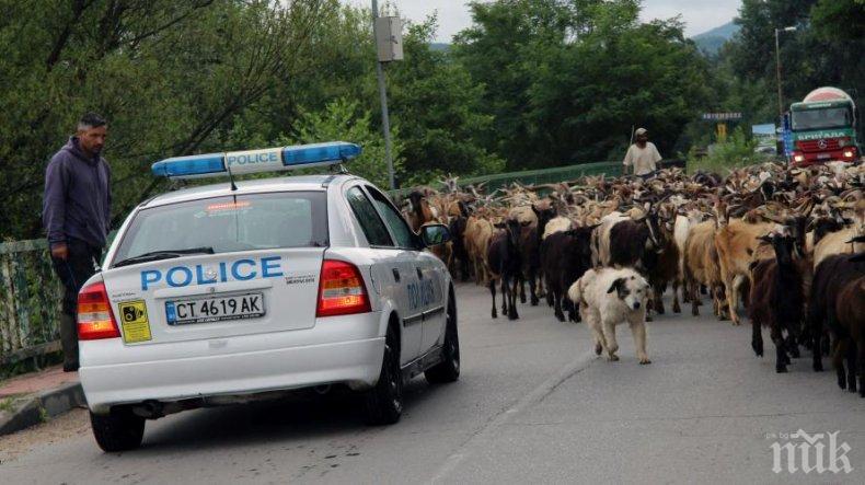 ТРАГЕДИЯ! 3-годишно детенце се удави в Тунджа