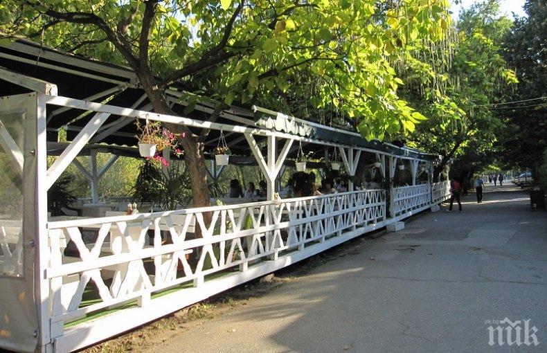 Глад за бармани и сервитьори в Пиринско, ученици попълват дефицита