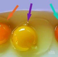 Яйце в супата тръшна цяло семейство със салмонела