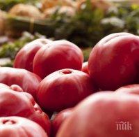 цената розовите домати падна левче