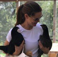 Дженифър Гарнър спретна торта с буболечки за ЧРД на кокошките си (СНИМКА)