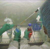 СТРАХОТНА НОВИНА! Учени обявиха напредък в създаването на ваксина срещу ХИВ