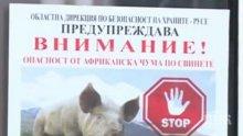 ОПАСНО! Откриха африканска чума по свинете на 60 км от България