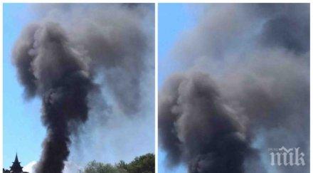 страх елените гъст дим стеле курорта туристите ужас снимки