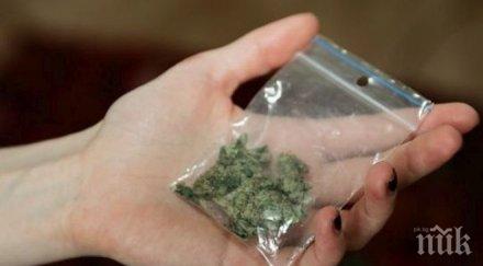 сезонно врачански дилъри преместиха морето