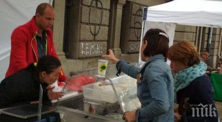 фирми легални мръвки сергиите