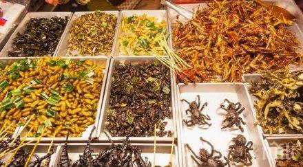 храната бъдещето окаже насекоми