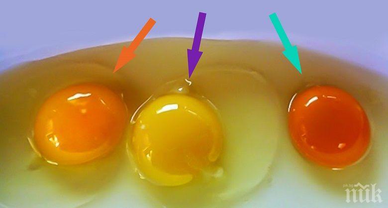 Яйце в супата тръшна цяло семейство със салмонела
