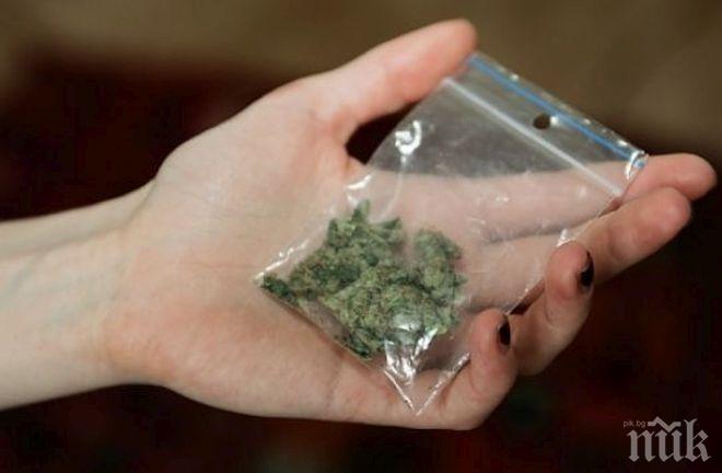 СЕЗОННО! Врачански дилъри се преместиха по морето