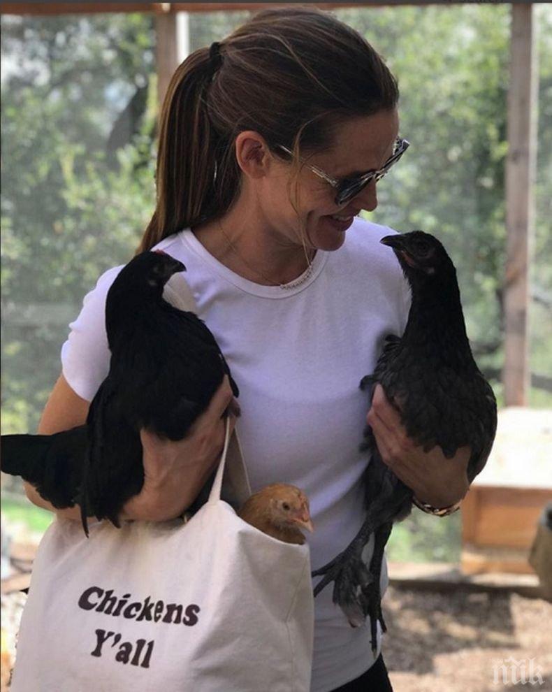 Дженифър Гарнър спретна торта с буболечки за ЧРД на кокошките си (СНИМКА)