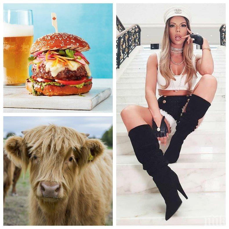 СМЕНЯ ЗАНАЯТА! Галена слиза от сцената! Звездата почна бизнес с бургери от елитни говеда