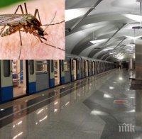СТОЛИЧАНИ ПРОПИЩЯХА: Зловещи комари с огромни размери нападат в софийското метро! 