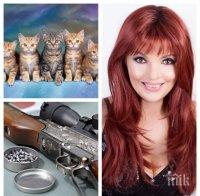 ШОКИРАЩО! Садист простреля с въздушна пушка котките на Джина от 