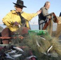 Две от три риби на трапезата ни са вносни