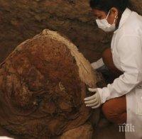 Археолози откриха голям погребален комплекс на инките в Перу