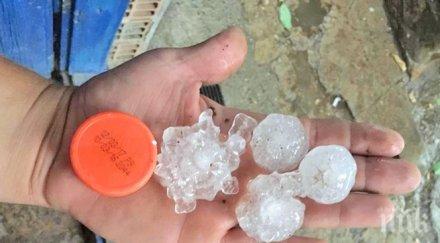 важно догодина цялата страна защитена градушки