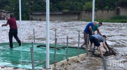 бедствие бара заля къщи издави животни ловешко село