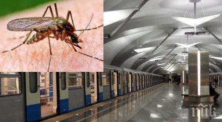 столичани пропищяха зловещи комари огромни размери нападат софийското метро
