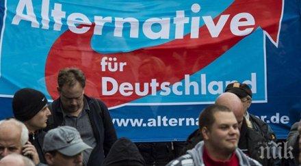 рекорден рейтинг крайнодесните германия