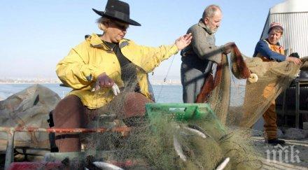 две три риби трапезата вносни