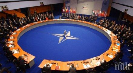 брюксел домакинства среща високо равнище страните членки нато