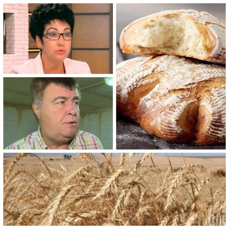 ПЪЛНА ЛУДНИЦА! Поскъпва ли хлябът или не? Шефката на федерацията и производителите с противоположни прогнози